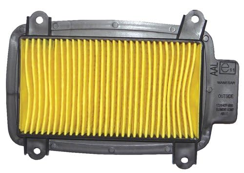 Uno Minda AF2018PM High Capacity Engine Air Filter with Optimal Efficiency